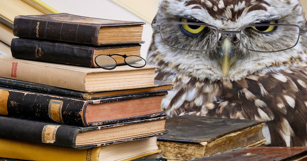 A Signal to Pay Attention to Your Intuition And Inner Wisdom 