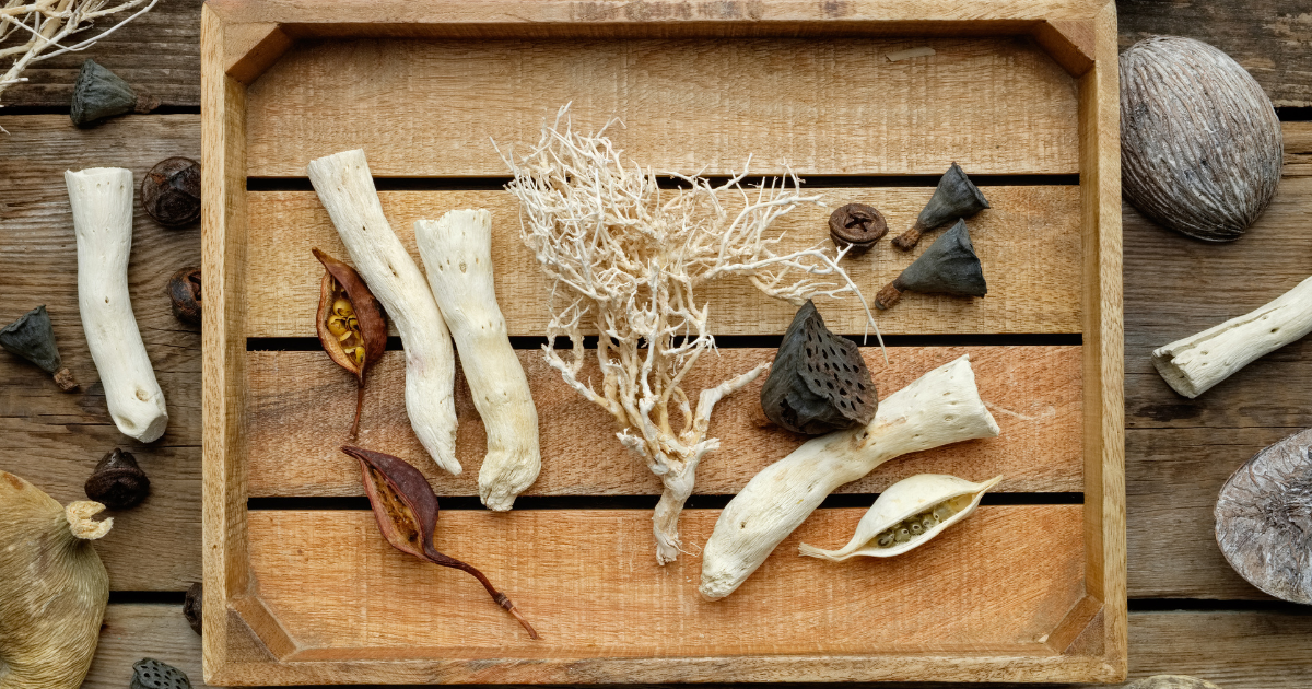 The Elements Of Nature Are Reaching Out To You 