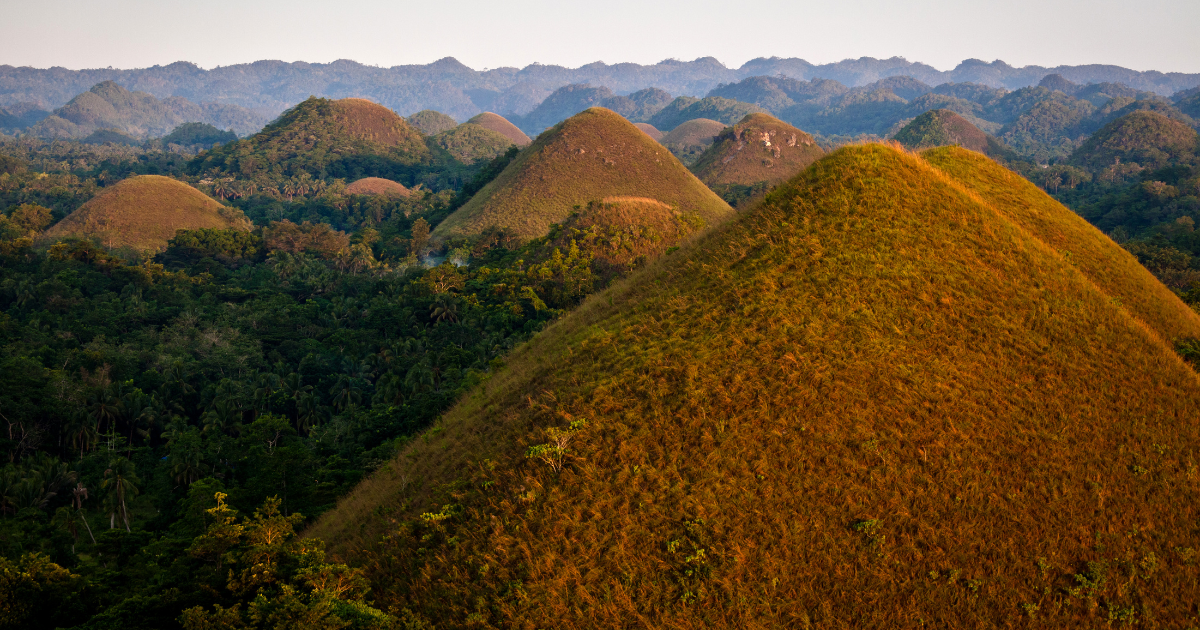 The Mountains and the Hills 