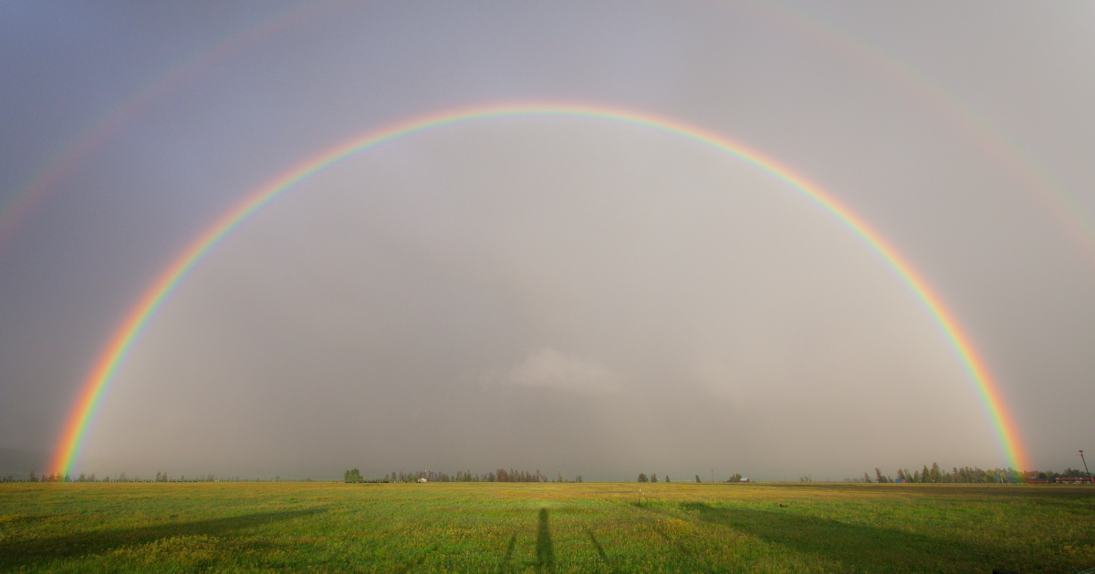 The Rainbow