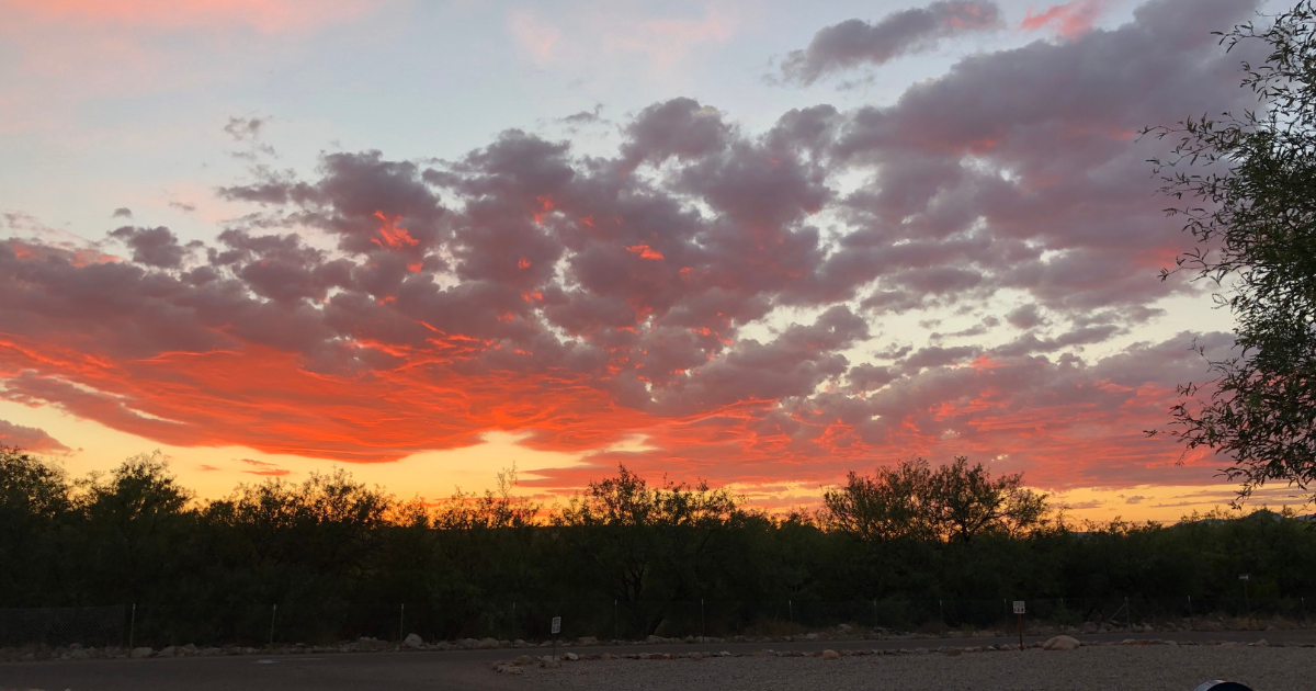 Someone's Saying Hello From Above 