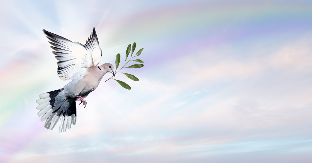 You Have The Protection Of The Divine Realm 