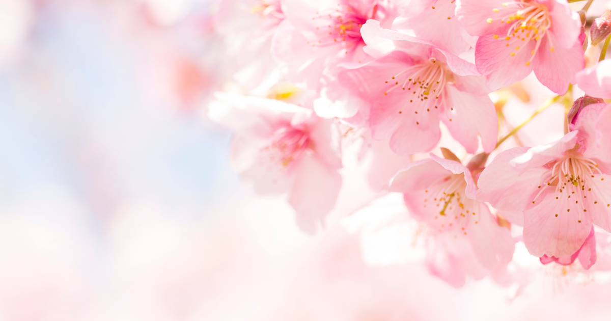 Your bloom season is near