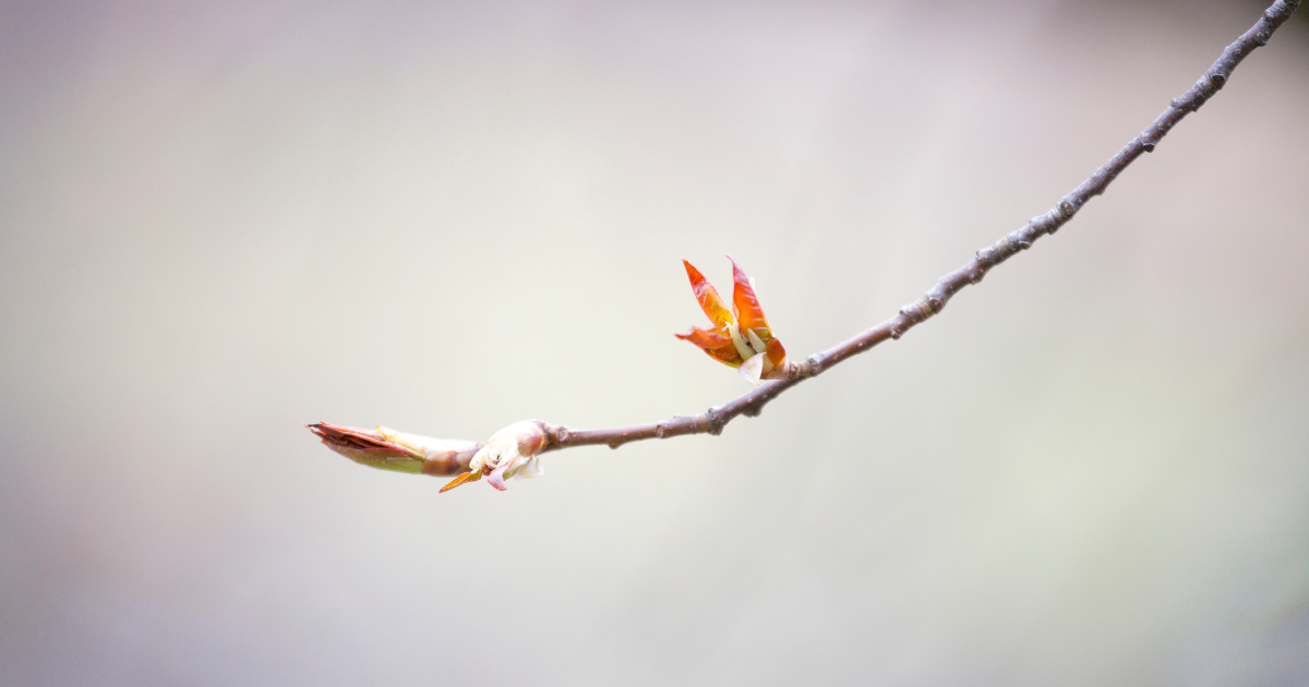 A sign for a new beginning