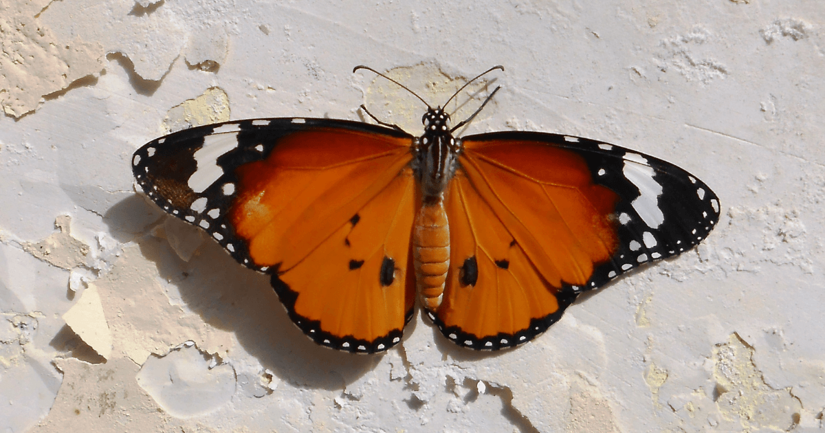 When The Universe Calls to Ask You to Make Your Life Over - Answer  