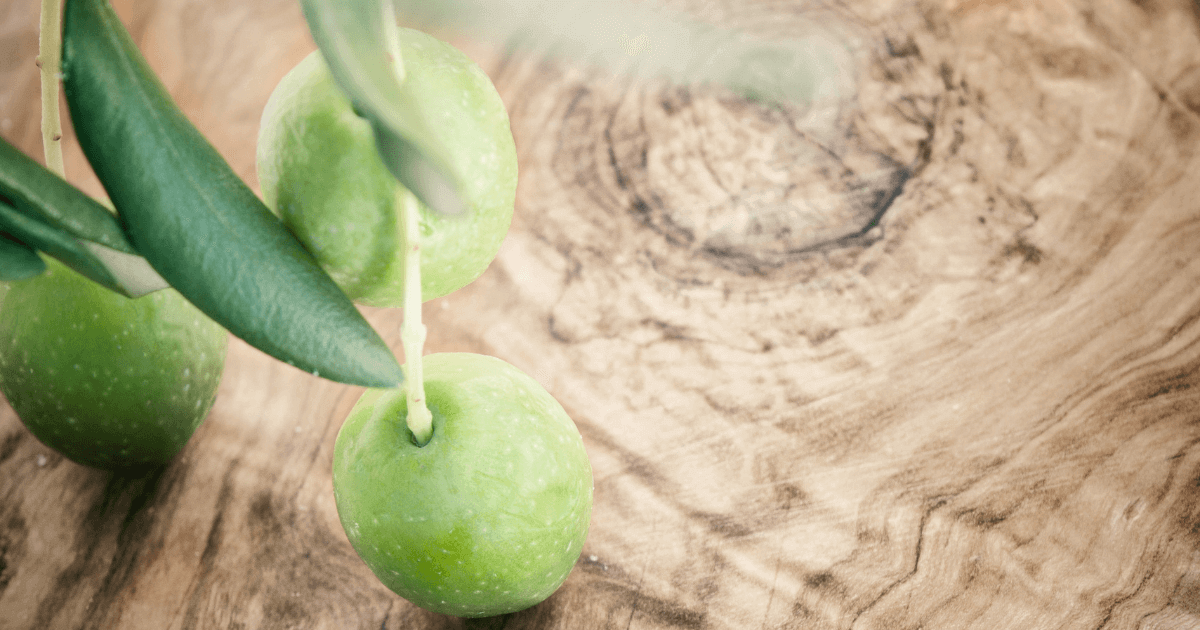 What message that Olive Wood hold?