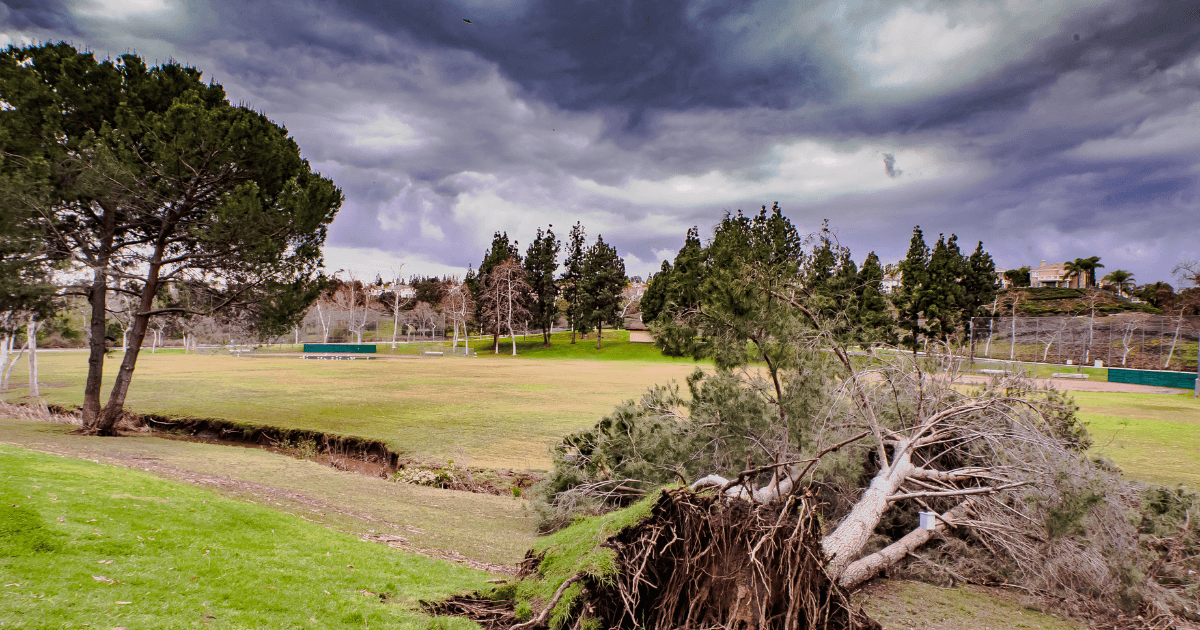 Unexpected Storm Overhead
