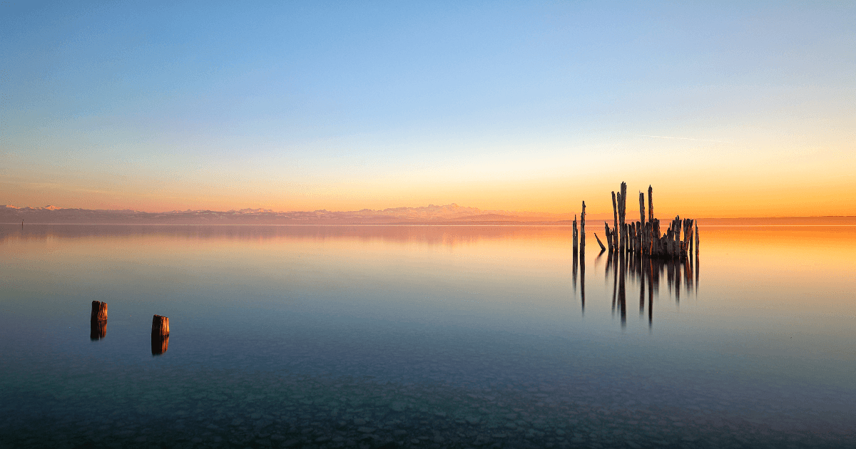 Stillness Invokes Stillness