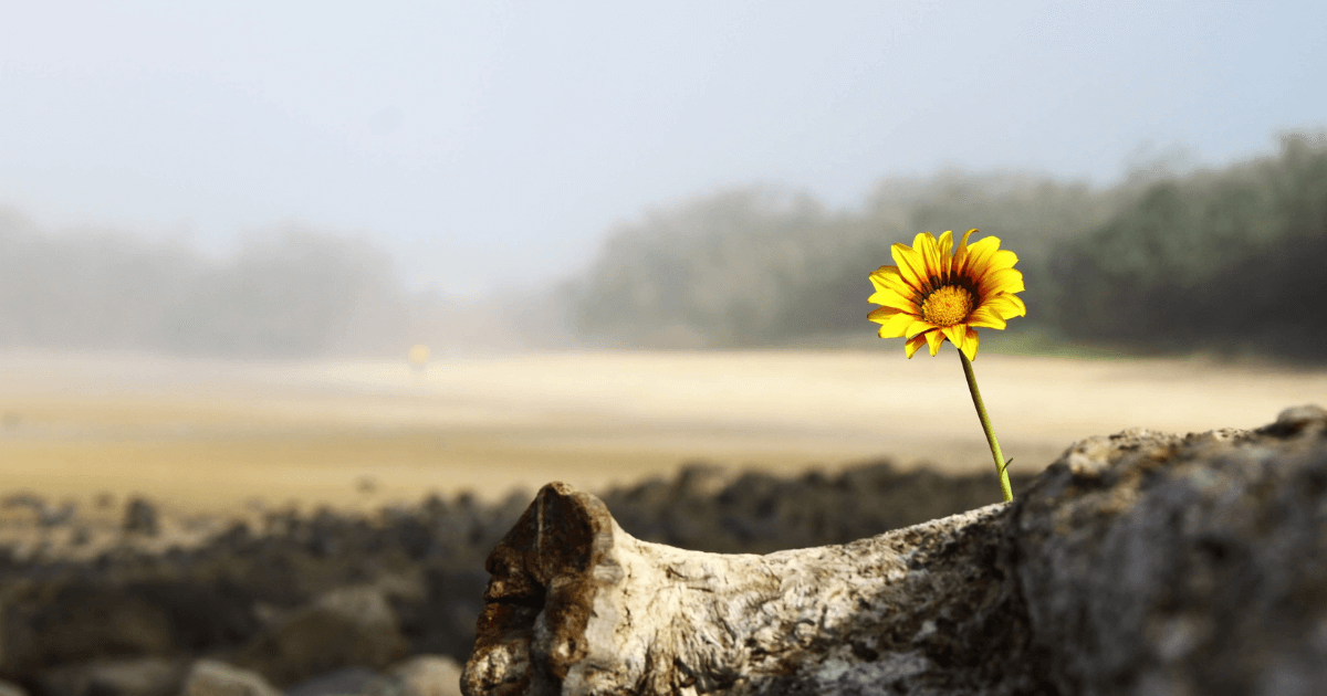 Washing Away Hope